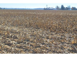 Tract 2 - FARMLAND AUCTION - 165.5+/- ACRES OFFERED IN 5 TRACTS OR COMBINATIONS IN EAST ALLEN COUNTY